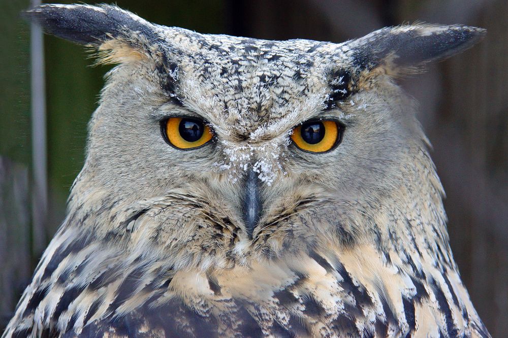 Photograph by Игорь Окунев