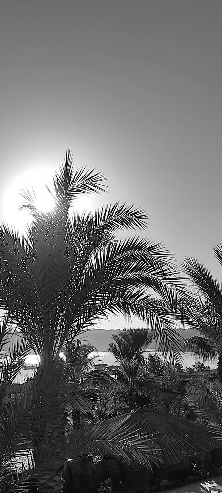 Photograph by Наталья Рау