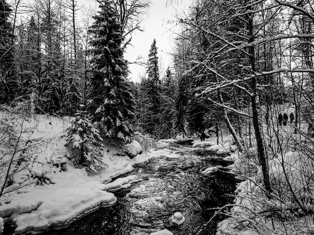 Photograph by Sergey Anfalov