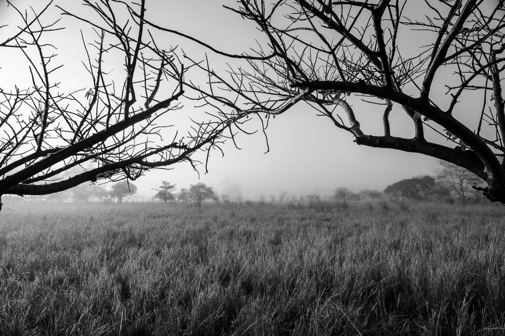 Photograph by Armando Lopez-Guerrero