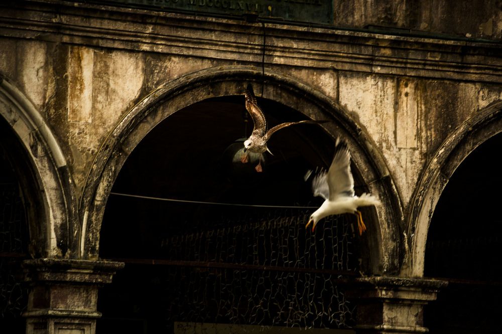 внимание! мы приземляемся