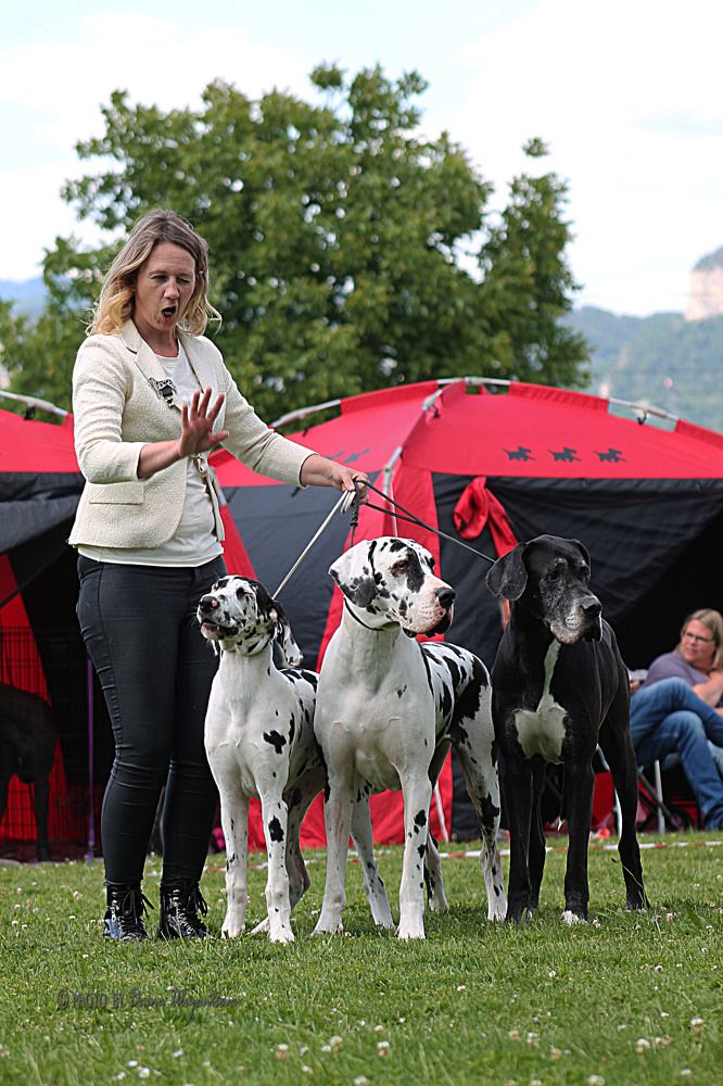 Photograph by Диана Ульянцева