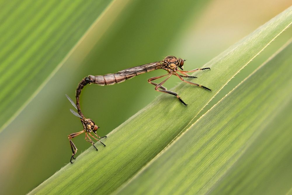 Photograph by Kveta Novotna