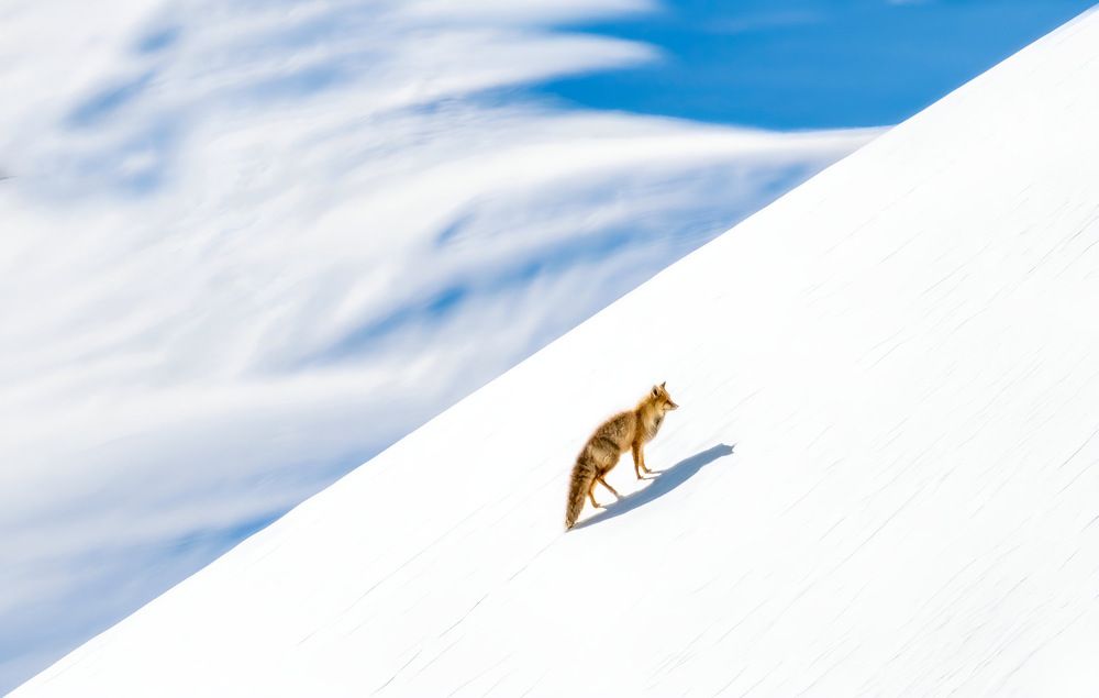 Photograph by Chetan Pardeshi