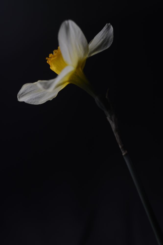 Photograph by Ольга Истомина