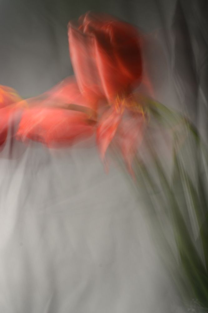 Photograph by Ольга Истомина