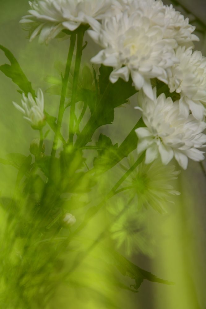 Photograph by Ольга Истомина