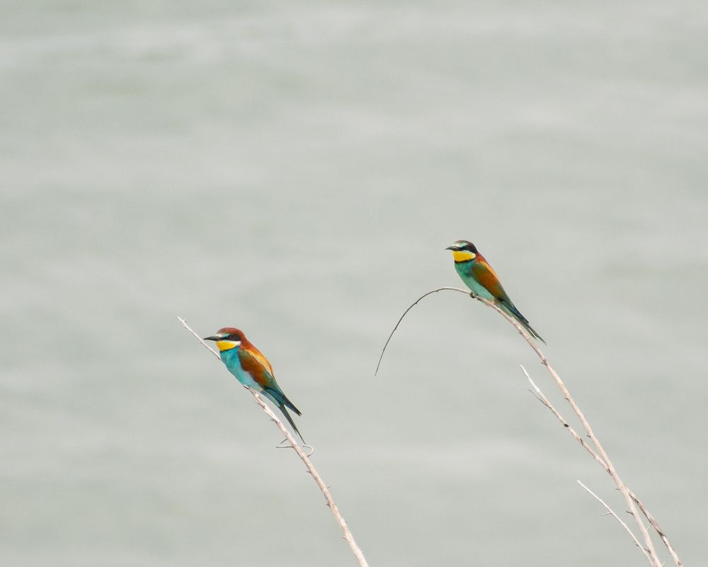 Photograph by Михаил Бирюков