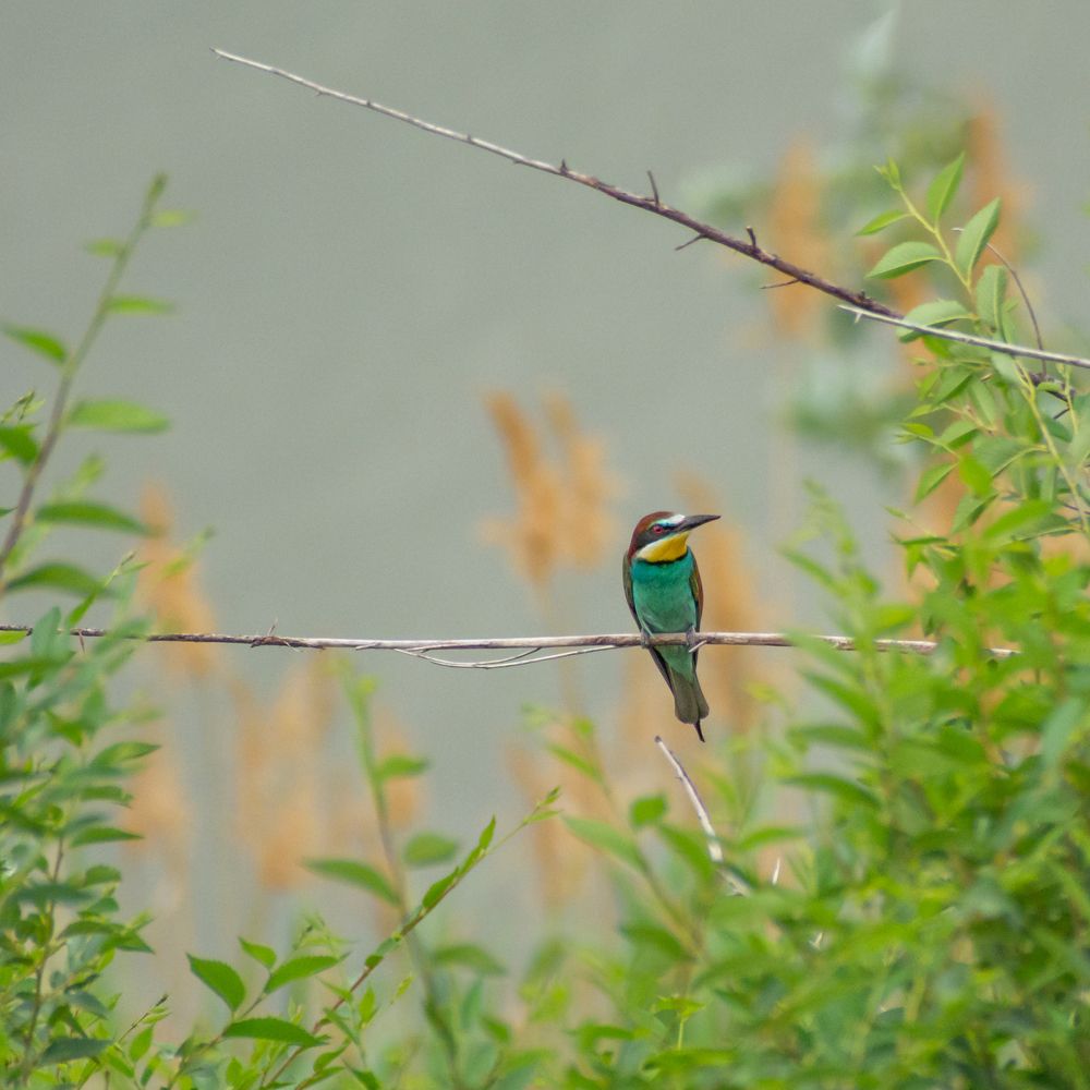 Photograph by Михаил Бирюков