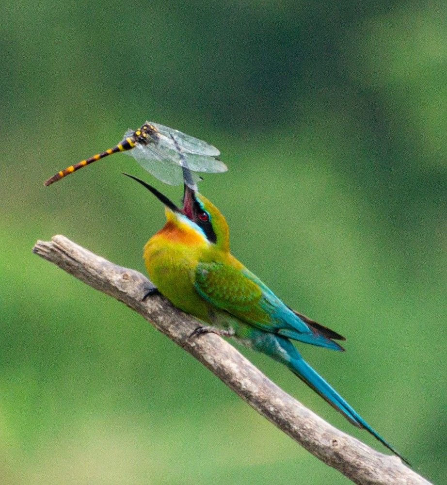 Photograph by RITUBRATA BANERJEE