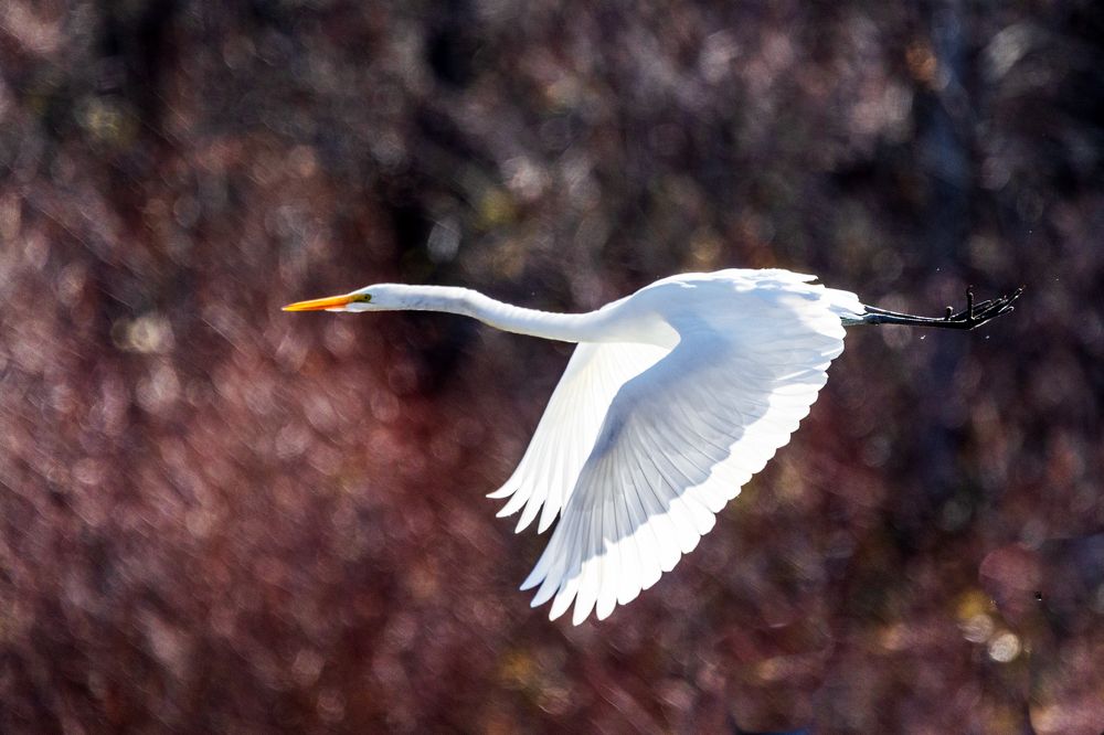 Photograph by Леонид Дьяченко