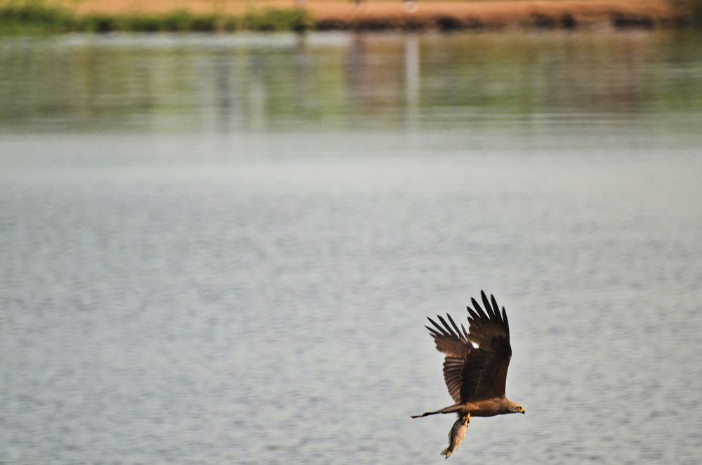 Фотография автора Вадим Писарев
