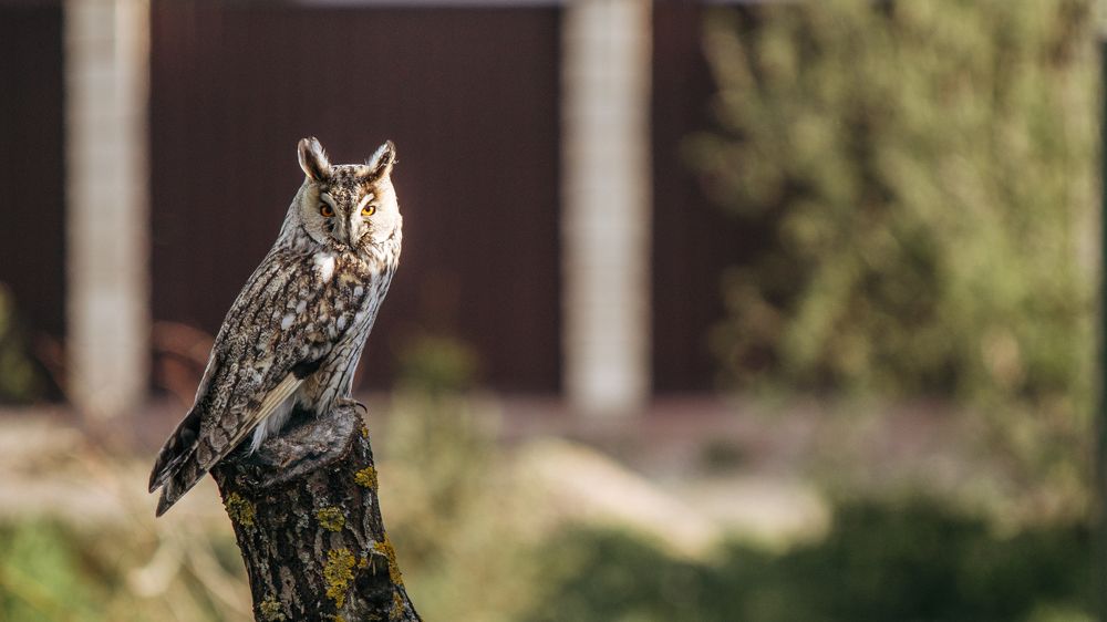 Photograph by Артем Деревенский