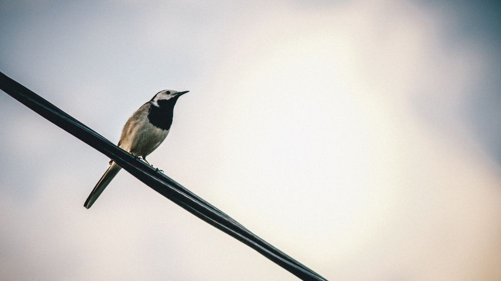 Photograph by Артем Деревенский