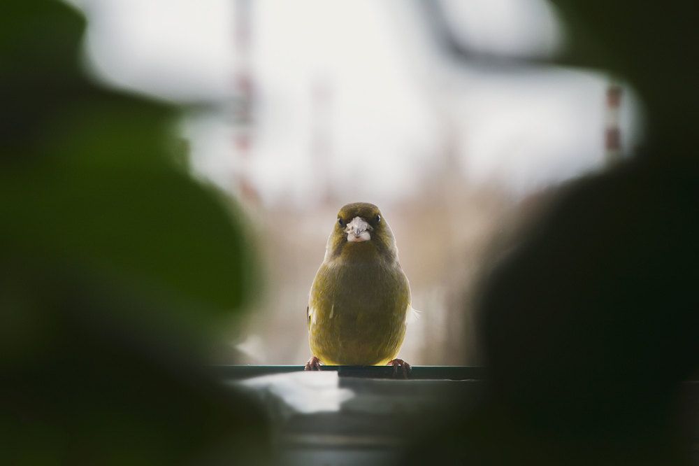 Photograph by Алина Морозова