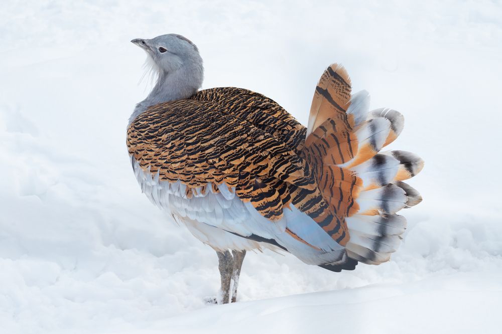 Photograph by Ольга Долгополова