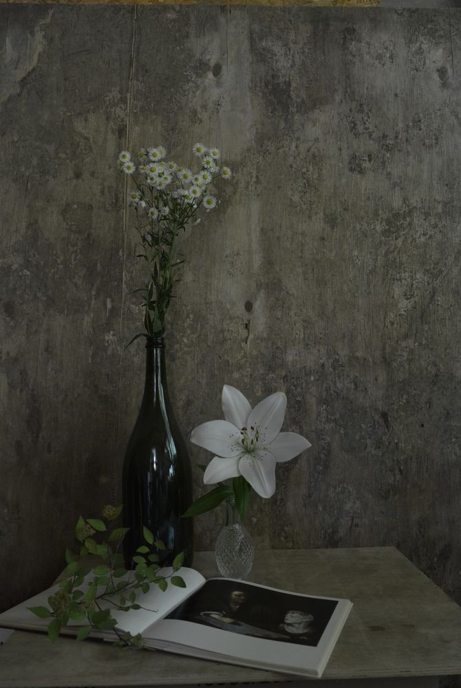 Photograph by Анастасия Денисенко