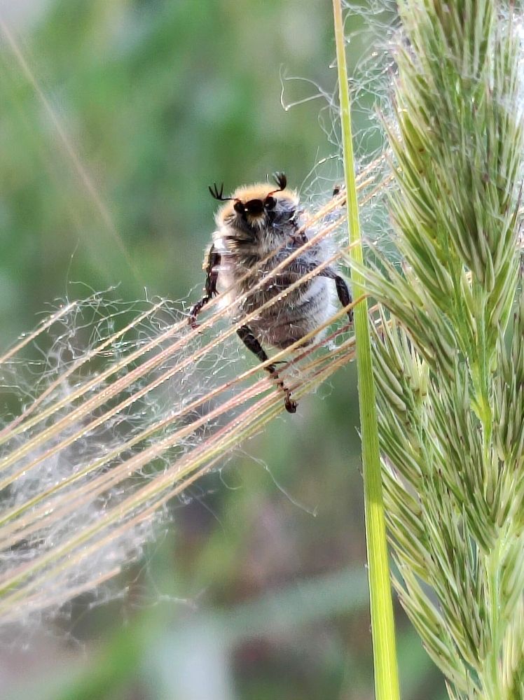 Photograph by Надежда Батракова