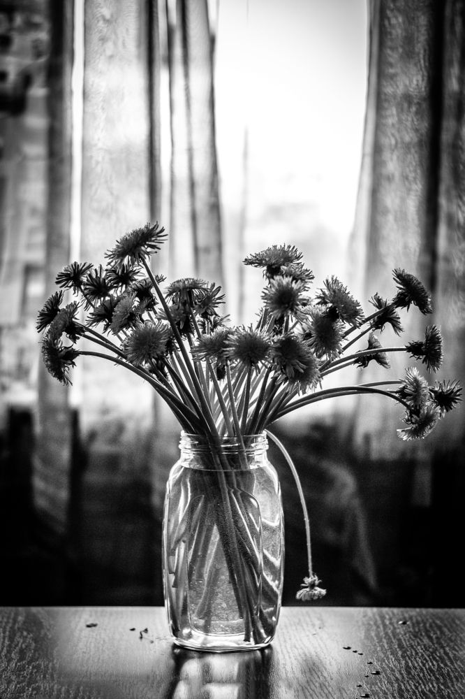 Photograph by Анна Крюкова