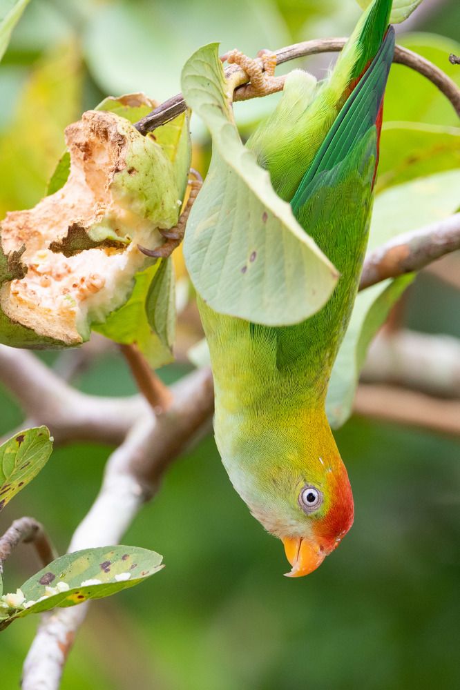 Photograph by Umesh Ranasinghe