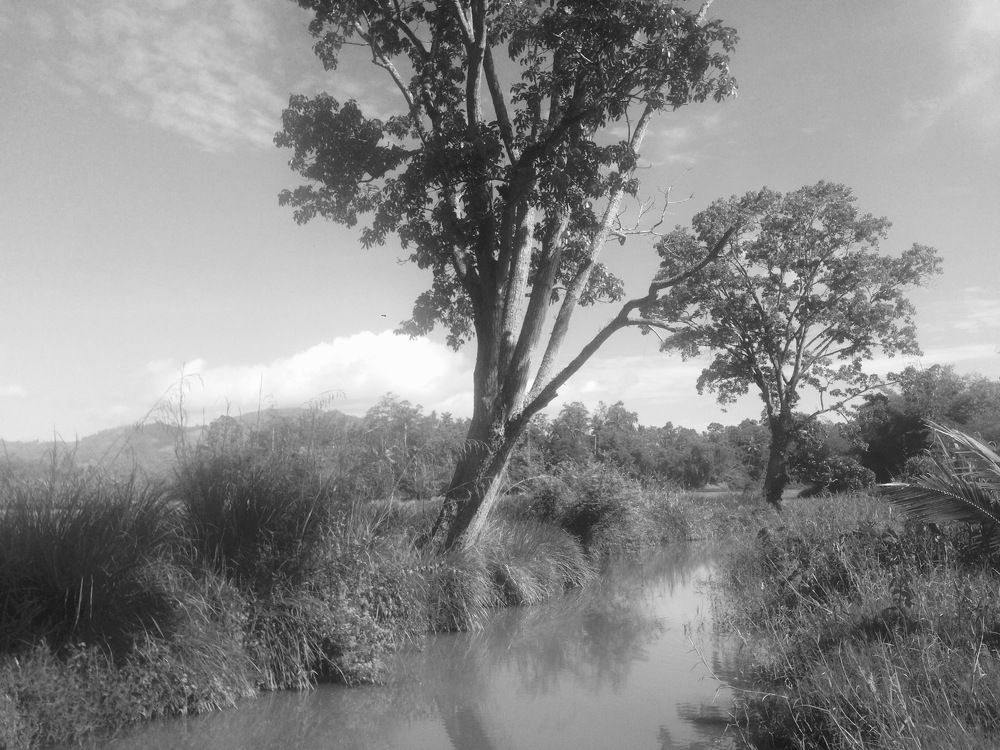 The main beauty of vision hopes