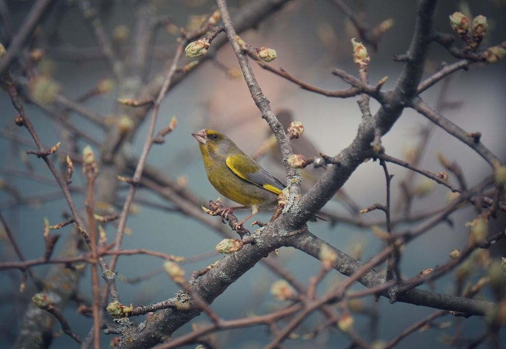 Photograph by Андрей Лабутин