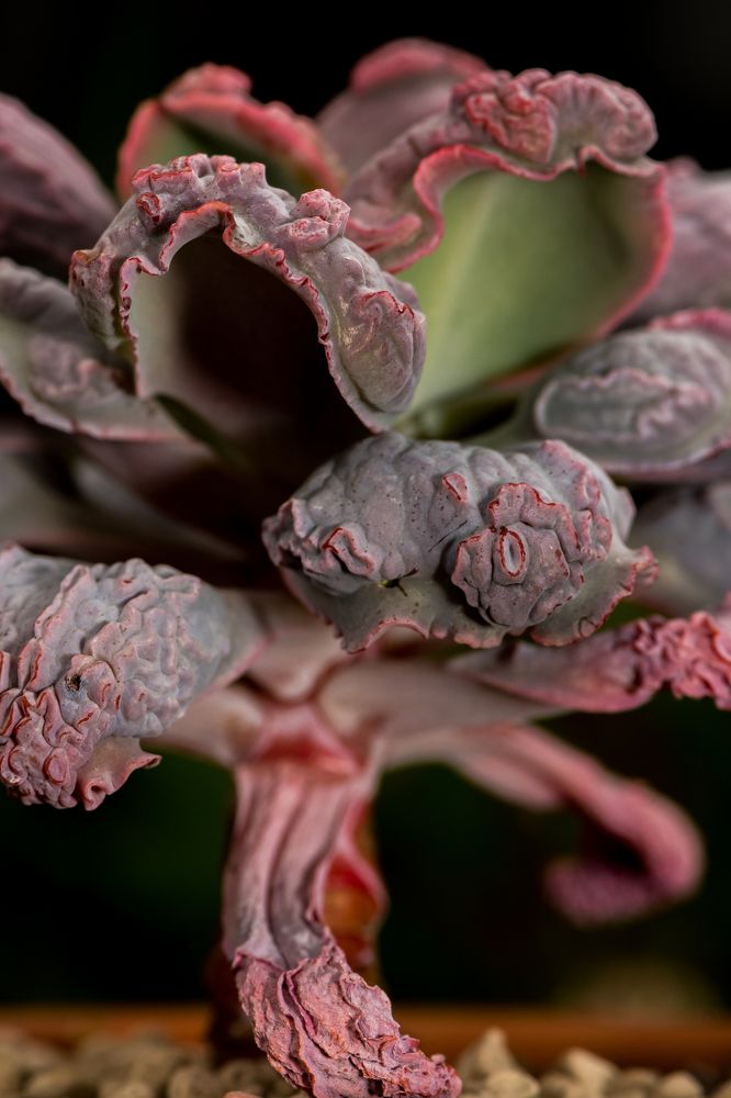 Photograph by Алексей Мазниченко