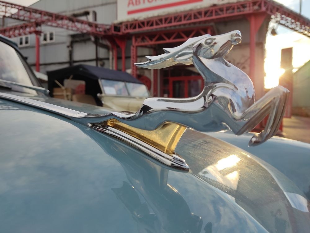 Photograph by Марина Кравцова