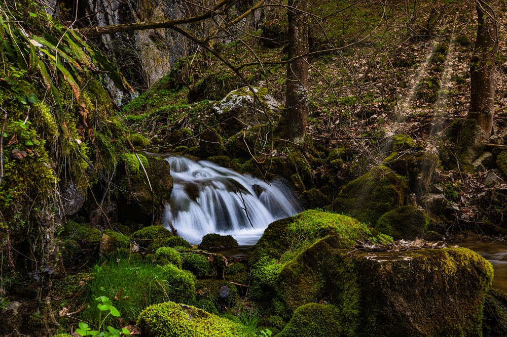 Photograph by Andrej Nihil