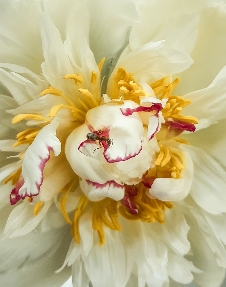 Photograph by Людмила