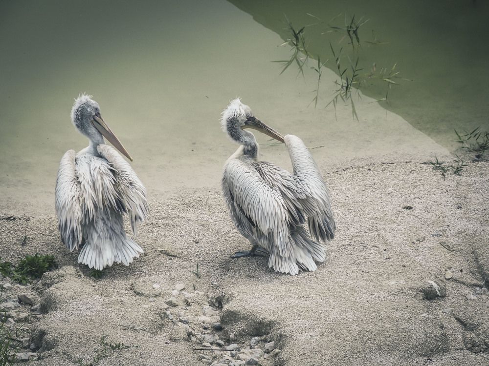 Photograph by Алексей Гнедовский