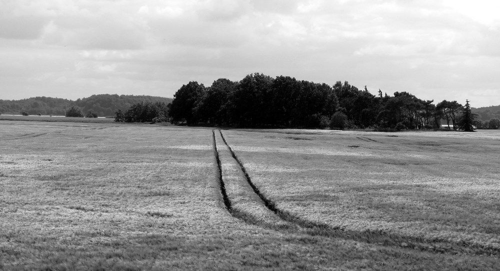 Photograph by Игорь