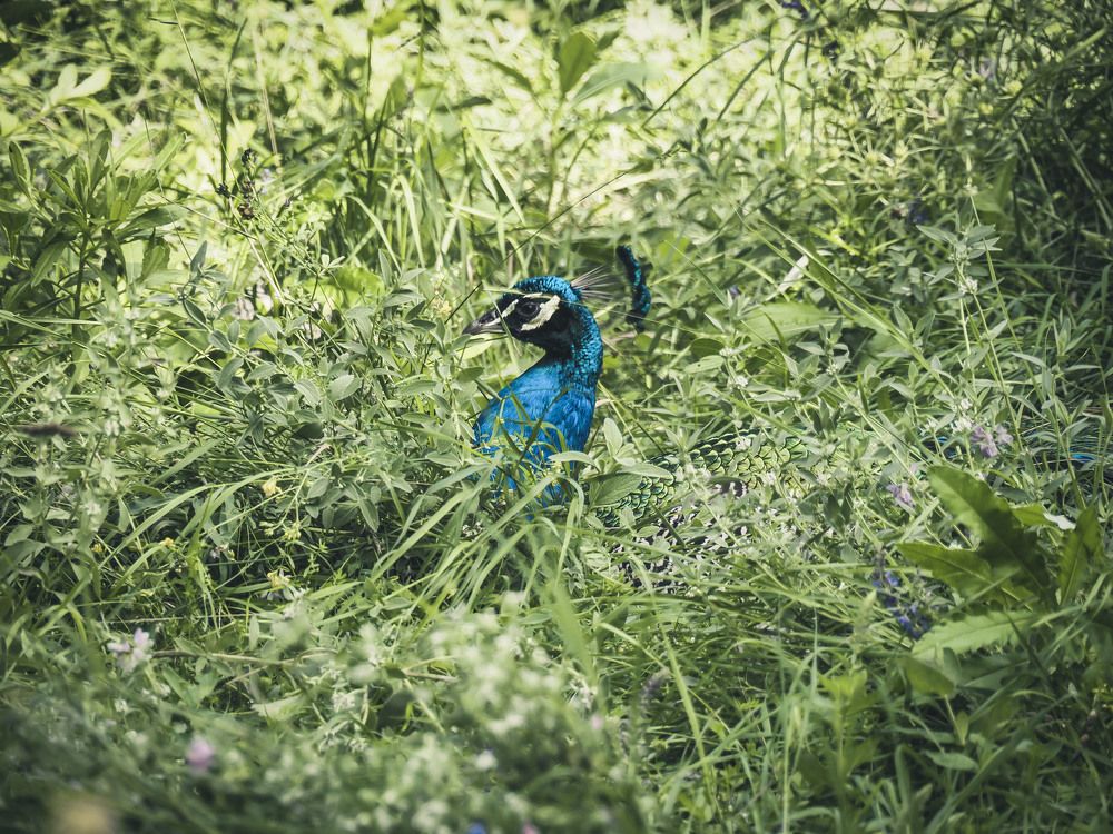 Photograph by Алексей Гнедовский