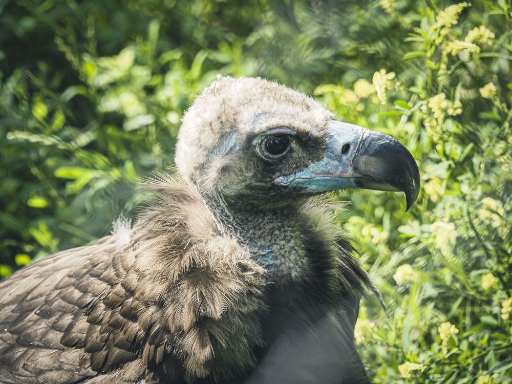 Photograph by Алексей Гнедовский