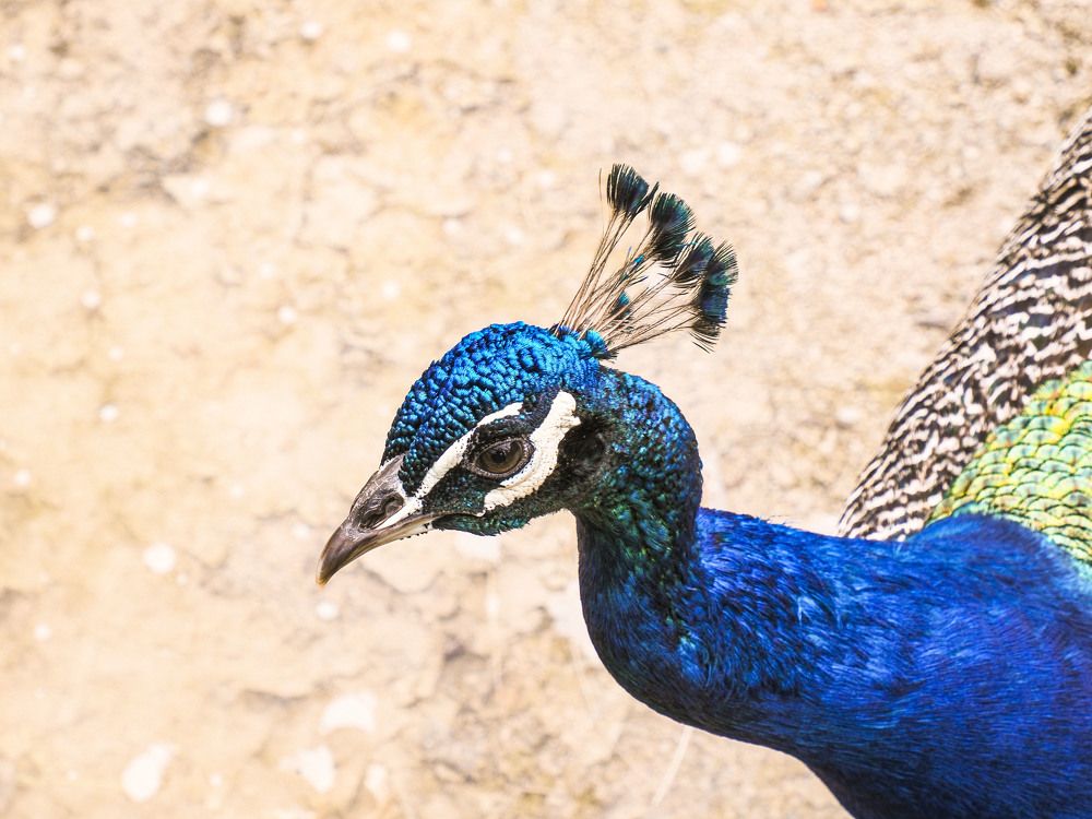 Photograph by Алексей Гнедовский