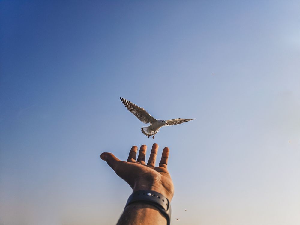 Photograph by Sam Johnraj