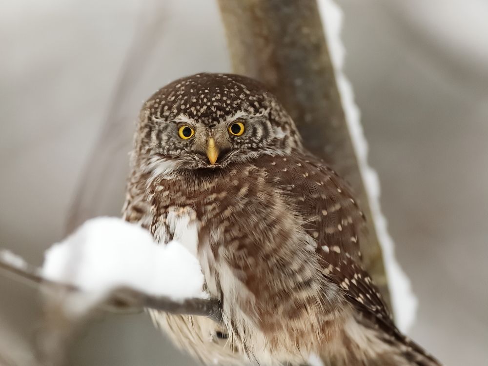 Фотография автора Mikhail Mikhaylov