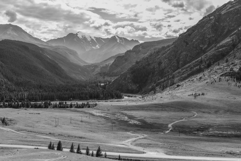 Фотография автора Екатерина Шаманаева