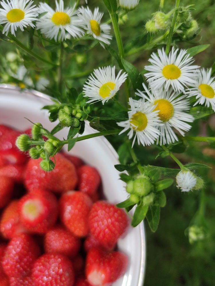 Photograph by Ирина Алексеевская