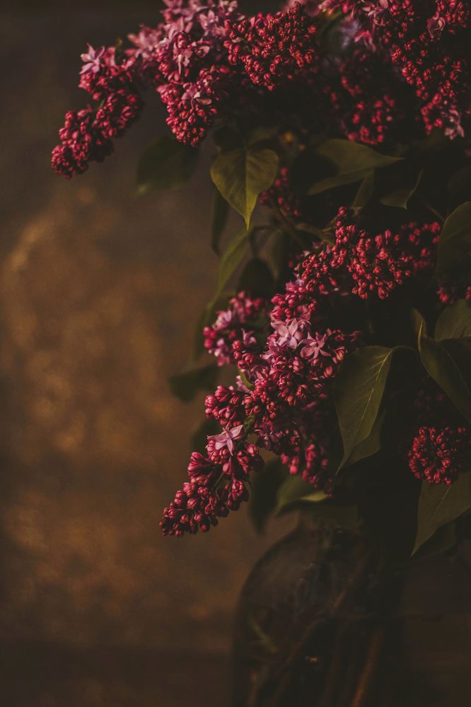 Photograph by Евгений Белов