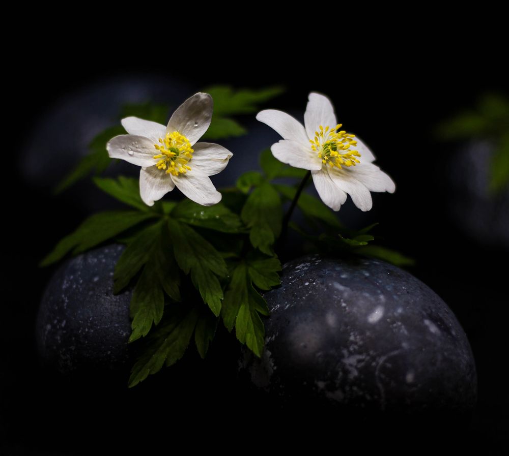 Photograph by Евгений Белов