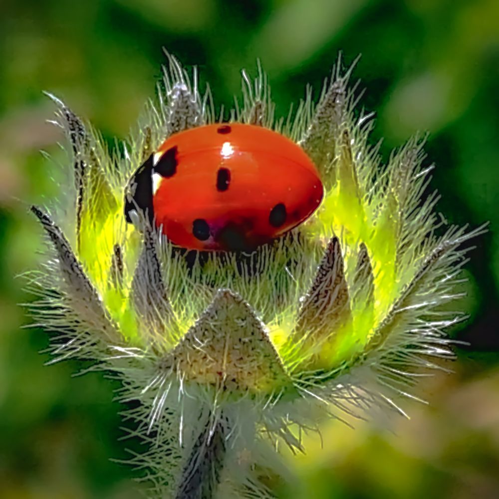 Photograph by Epp Tappel