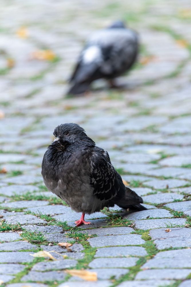 Photograph by Павел Юнусов