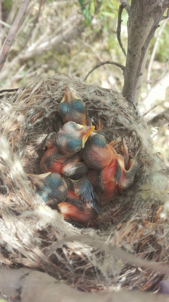 Фотография автора kazem kakaei