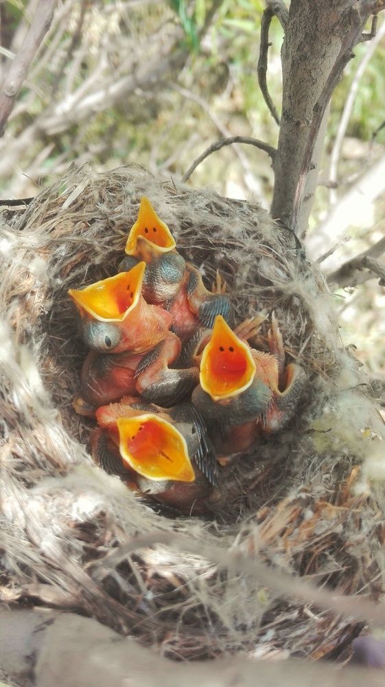 Фотография автора kazem kakaei