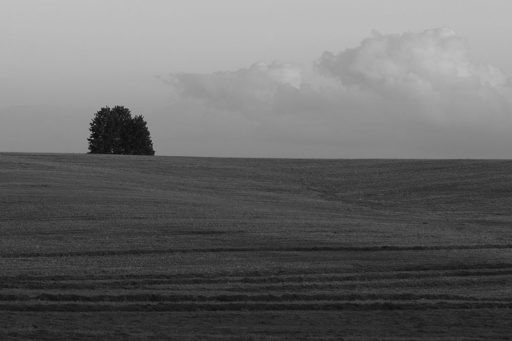 Photograph by Надежда Зайцева