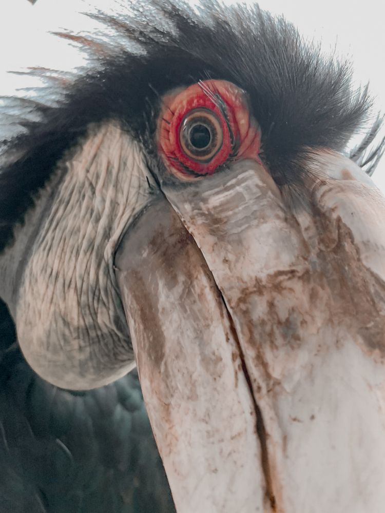 Photograph by Ganecha Yudhistira ganesayudhistira