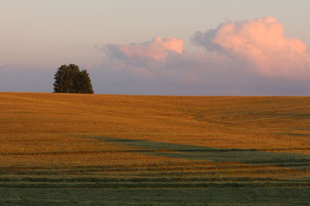 Photograph by Надежда Зайцева