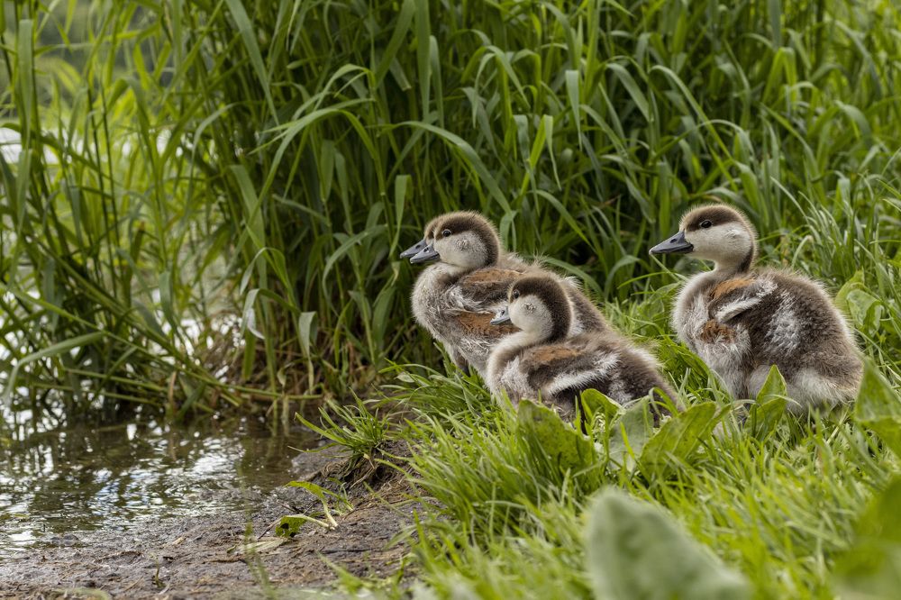 Photograph by Наталья Канарейкина