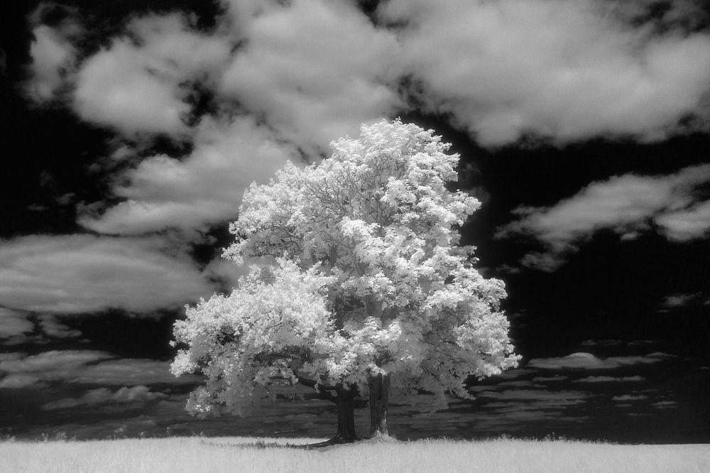 Photograph by Юрий Столыпин